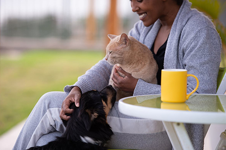 Five expert tips to help you prioritize your pet’s health